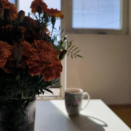 Zlatija Apartamento *