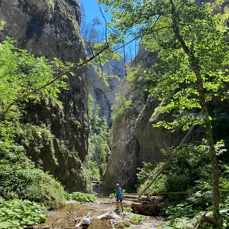 Apartamento Zlatija Bajina Basta