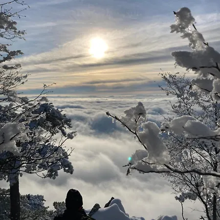 Zlatija Bajina Basta