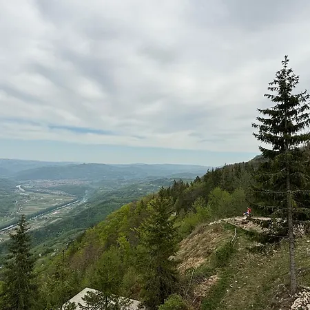 Zlatija Bajina Basta