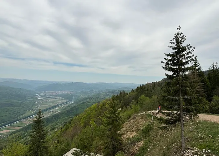 Zlatija Bajina Basta